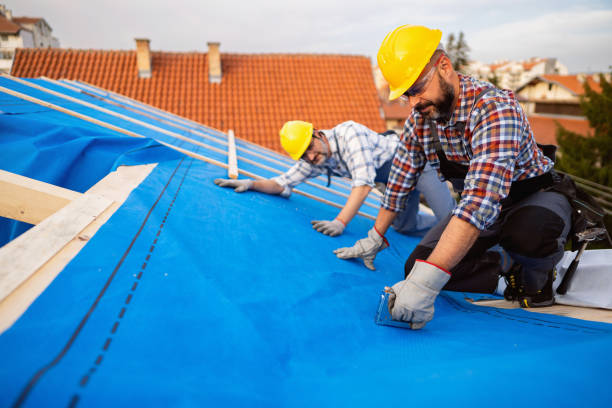 Best Roof Moss and Algae Removal  in Martinsburg, WV