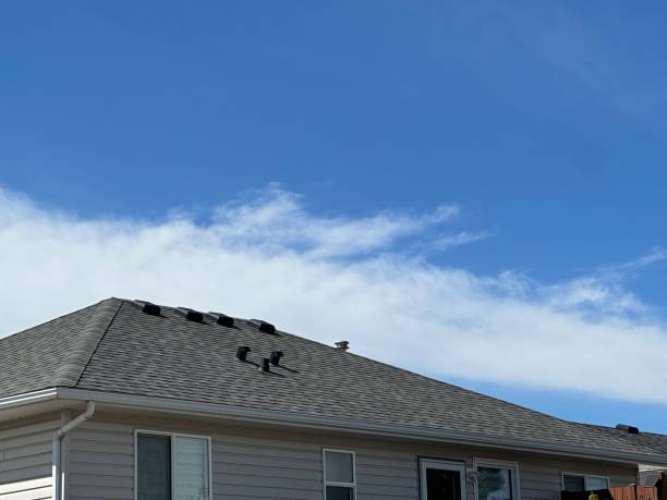 Best Roof Maintenance and Cleaning  in Martinsburg, WV